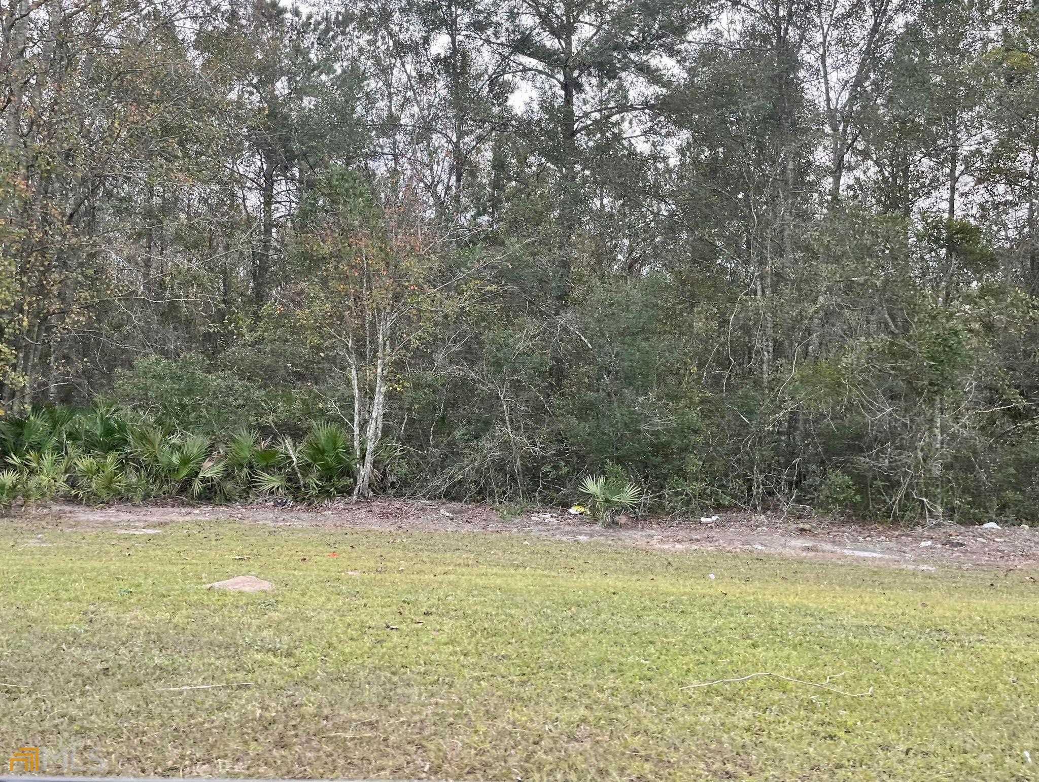 Property Photo:  +/- 16.6 Ac E Cypress Street  GA 31316 