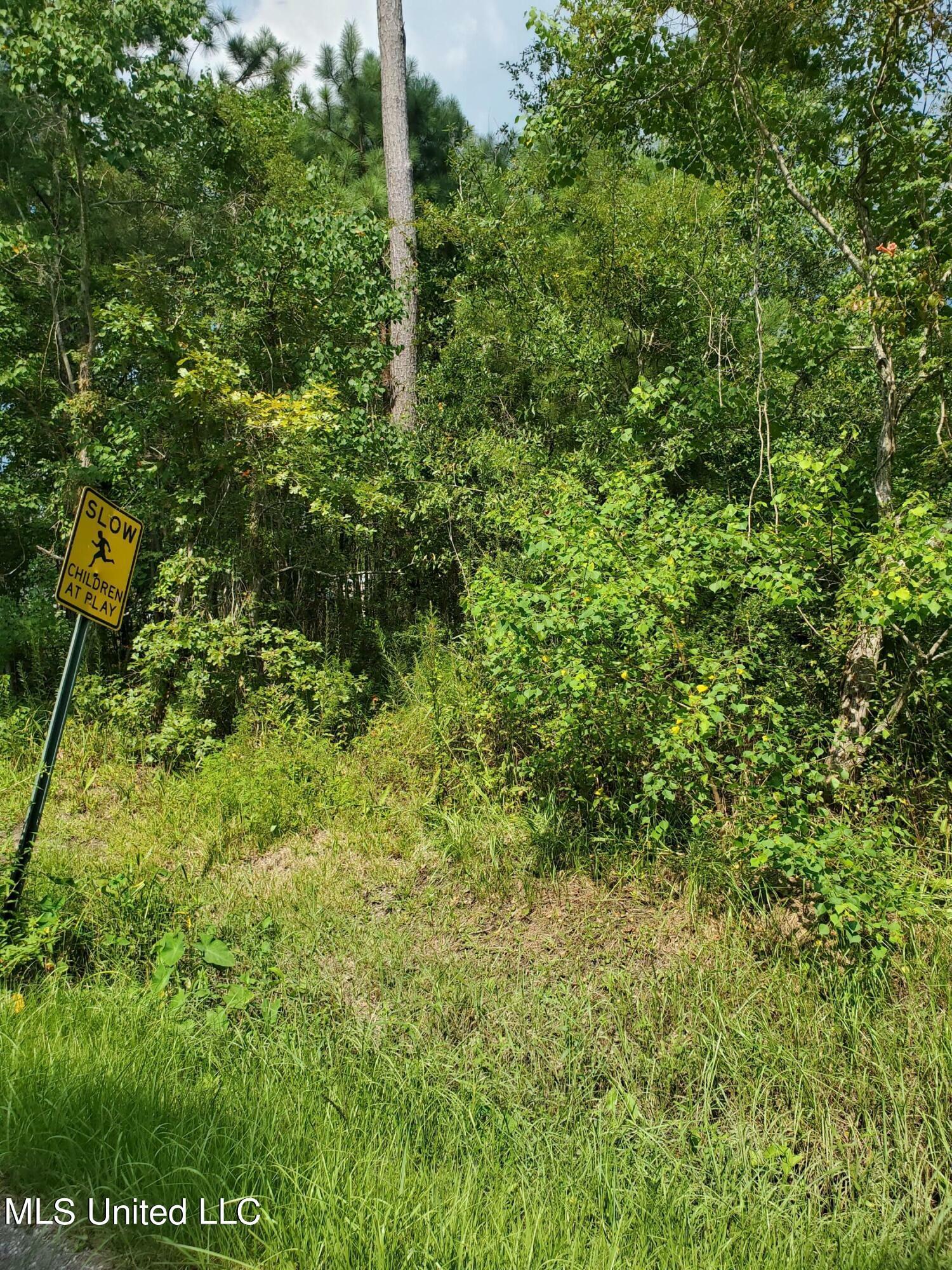 Property Photo:  Lot 36 Fernwood Drive  MS 39571 