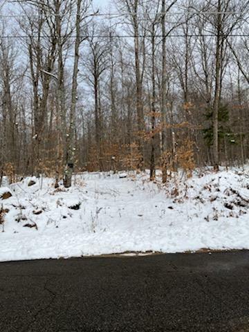 Property Photo: 225 Paskungameh Road NY 12986