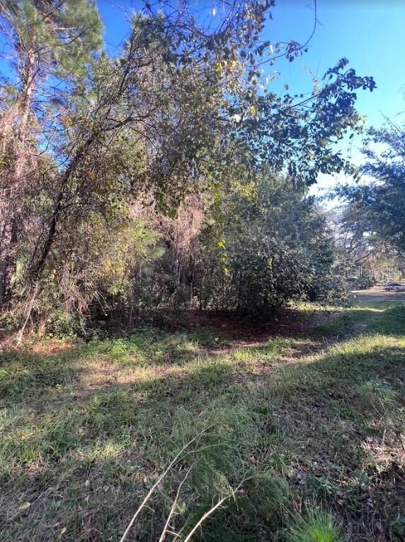 Property Photo: Tbd Jessie Avenue FL 32720