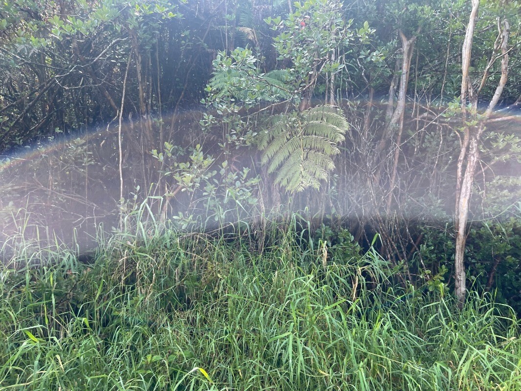 Property Photo:  Road 4  HI 96785 