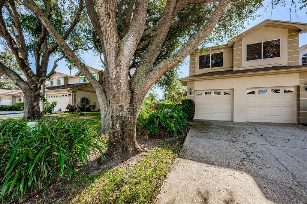 Property Photo: 2515 W Brook Lane FL 33761