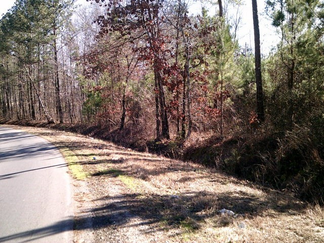 Property Photo:  00 Mitchell Bridge Road  GA 30721 