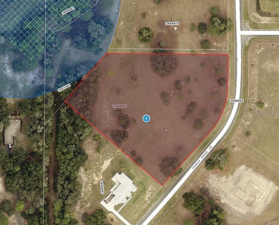 Property Photo:  41509 Saddle Ridge Lane  FL 32195 