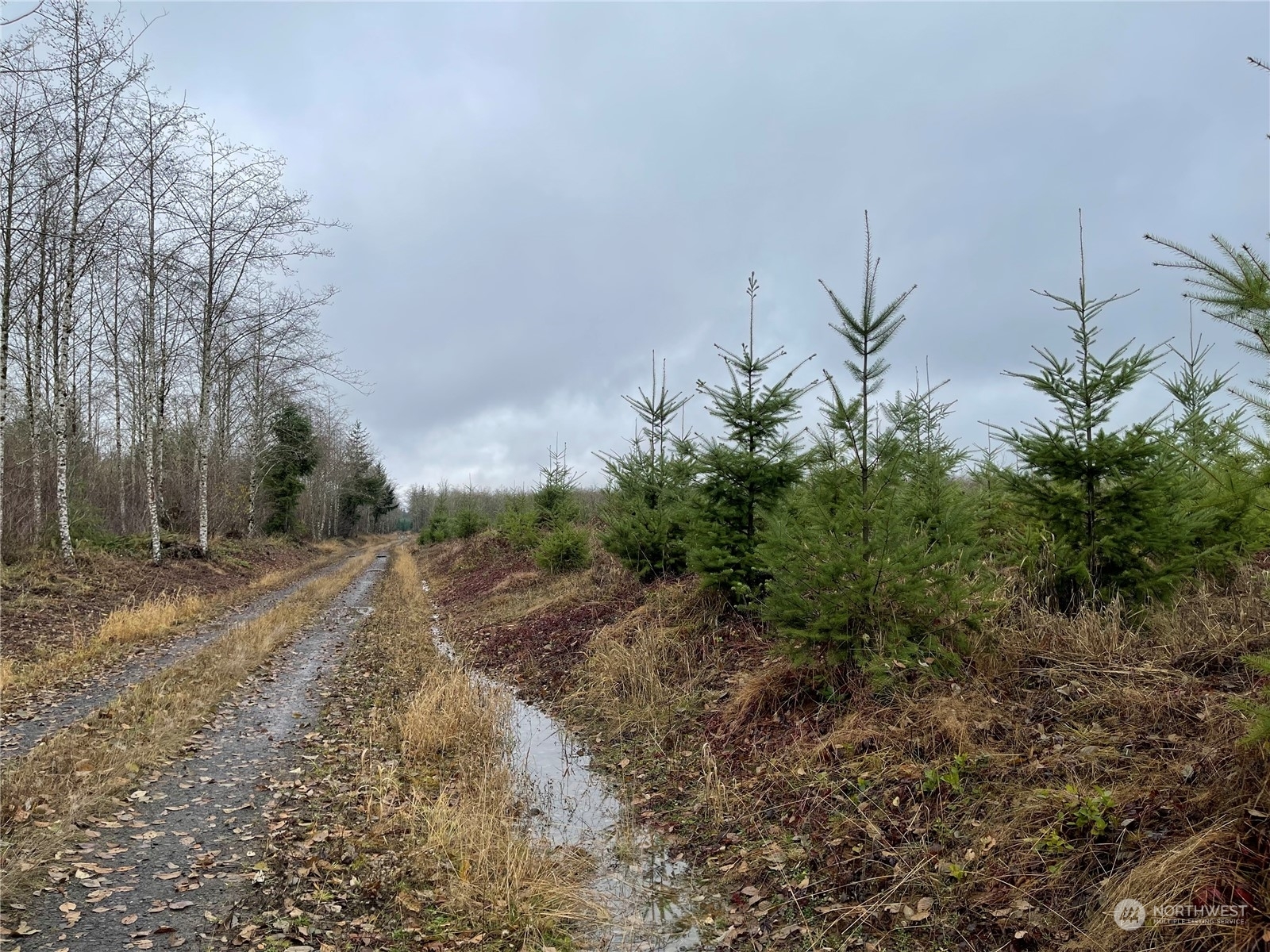 Property Photo:  1 Xx Oppelt Road  WA 98570 