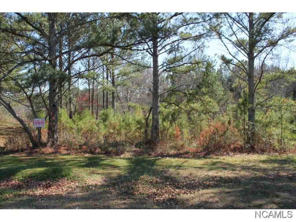 Property Photo:  Lot 71 Montcrest  AL 35057 - CULLMAN 