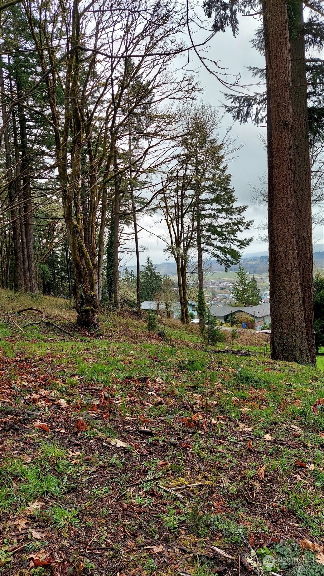 Property Photo:  475 Hilltop Drive  WA 98532 