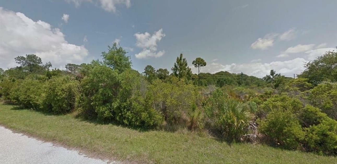 Property Photo:  13299 Chiminiello Drive  FL 33953 