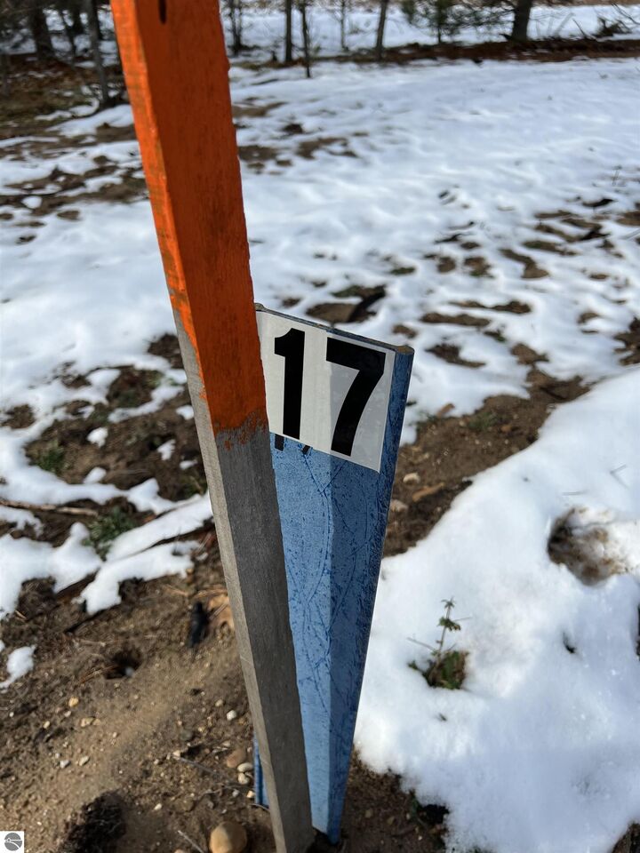 7958 NW Springwater Drive  Rapid City MI 49676 photo