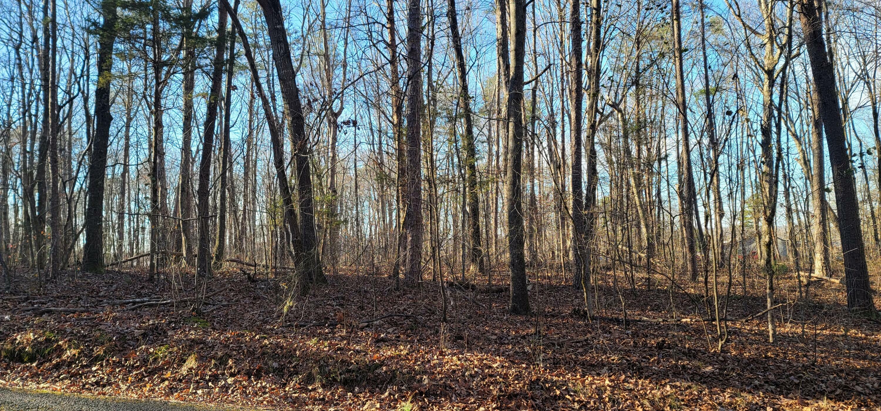 Property Photo:  Lot 9 Mountain View Road  TN 37307 