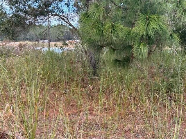 Property Photo:  Otter Drive Lot 0570  FL 33597 