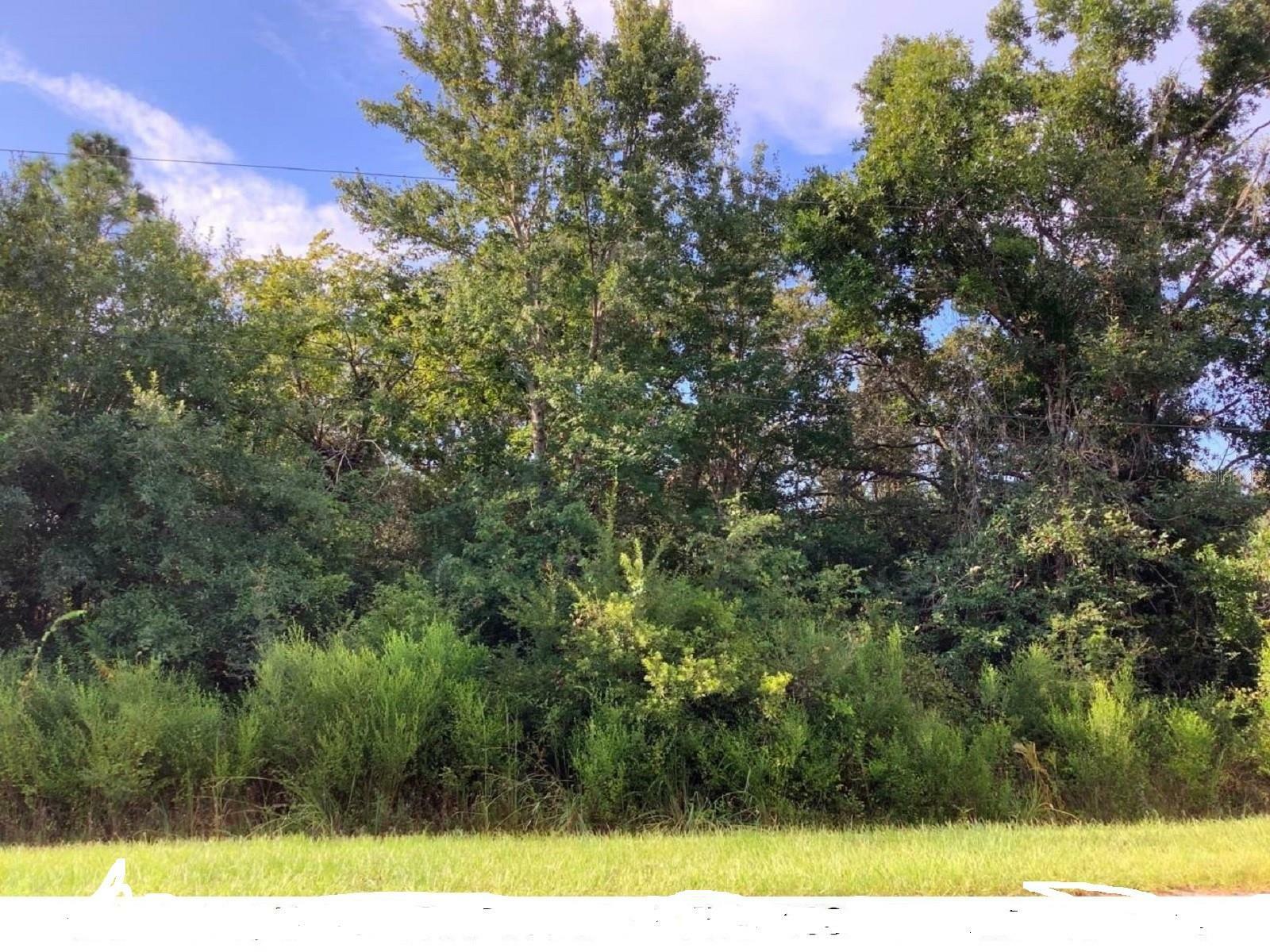 Property Photo:  Sabal Street  FL 32833 