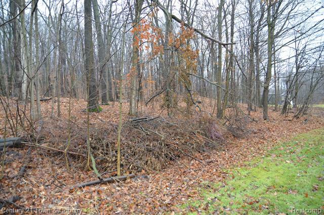 Property Photo: 3863 Florman MI 48329