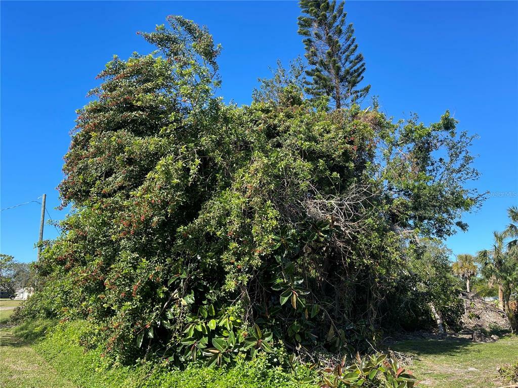 Property Photo: Cypress Road FL 34293