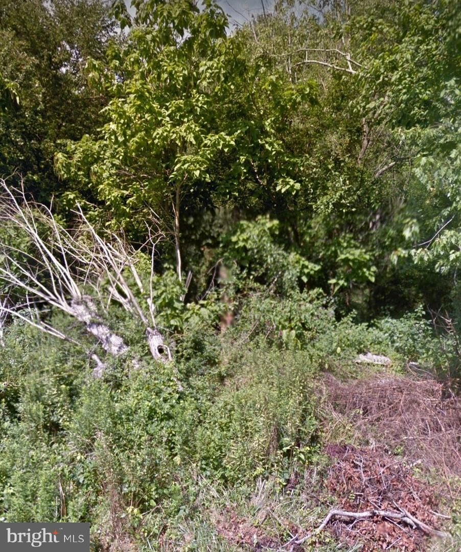 Property Photo:  Stevenson Lane  DE 19947 