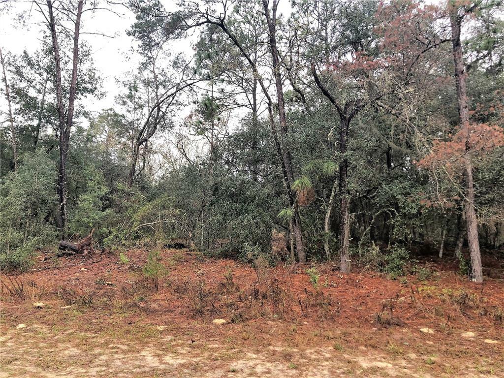 Property Photo:  9784 N Wayland Avenue  FL 34434 