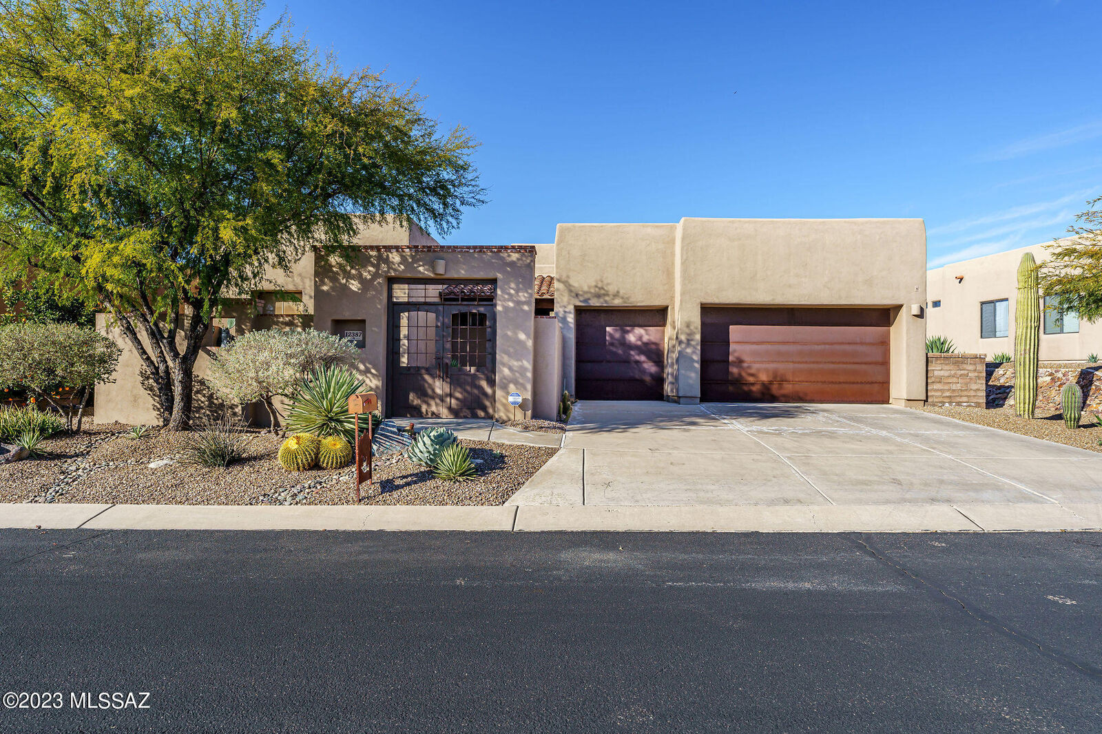Property Photo:  12387 N Fallen Shadows Drive  AZ 85658 