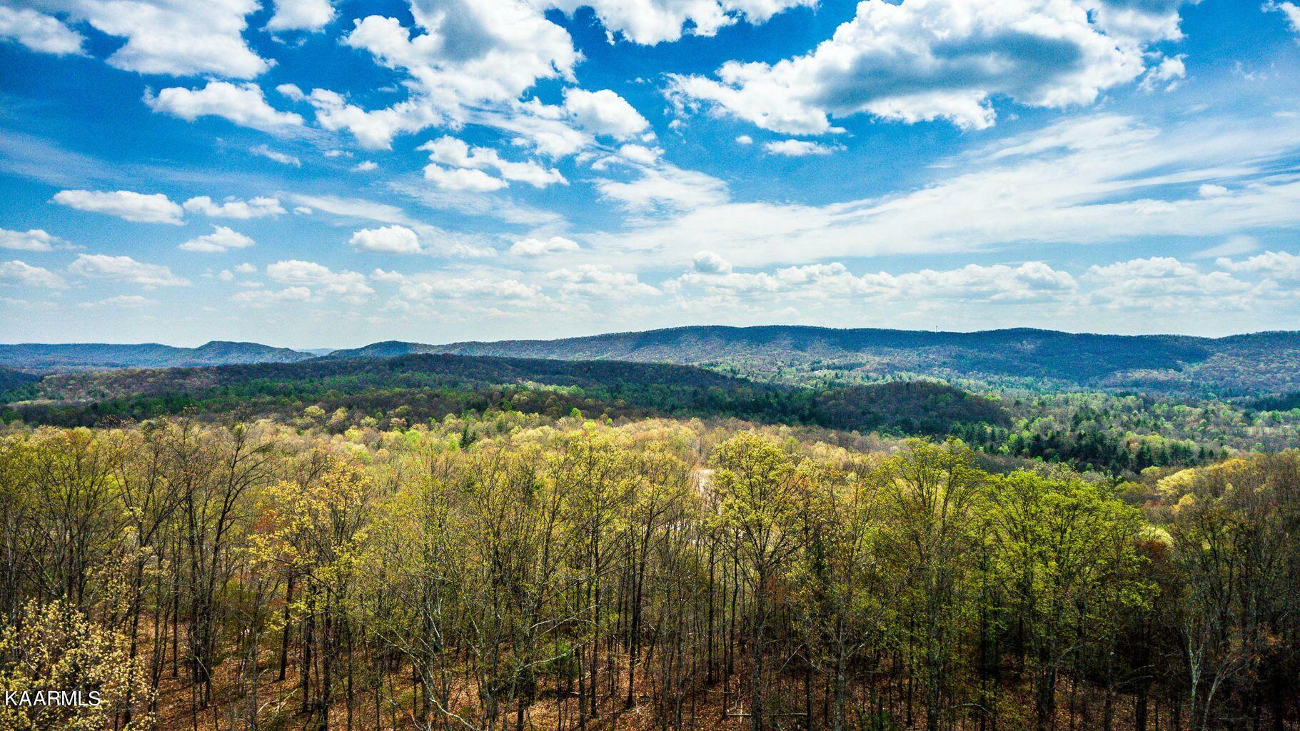 Green Ridge Trails (Lot 41)  Harriman TN 37748 photo