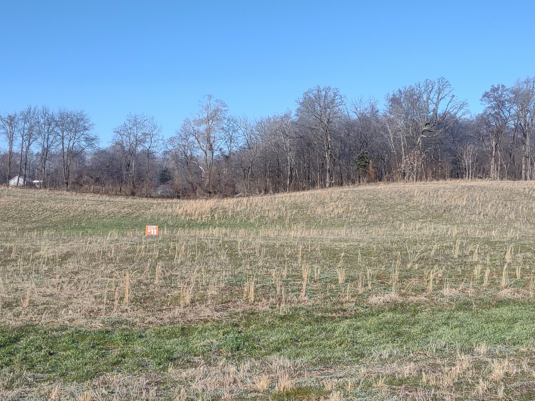 Property Photo:  11 Highway161  TN 37172 