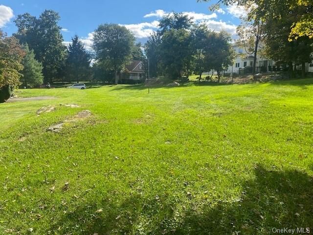 Property Photo:  10 Danand Lane  NY 12563 