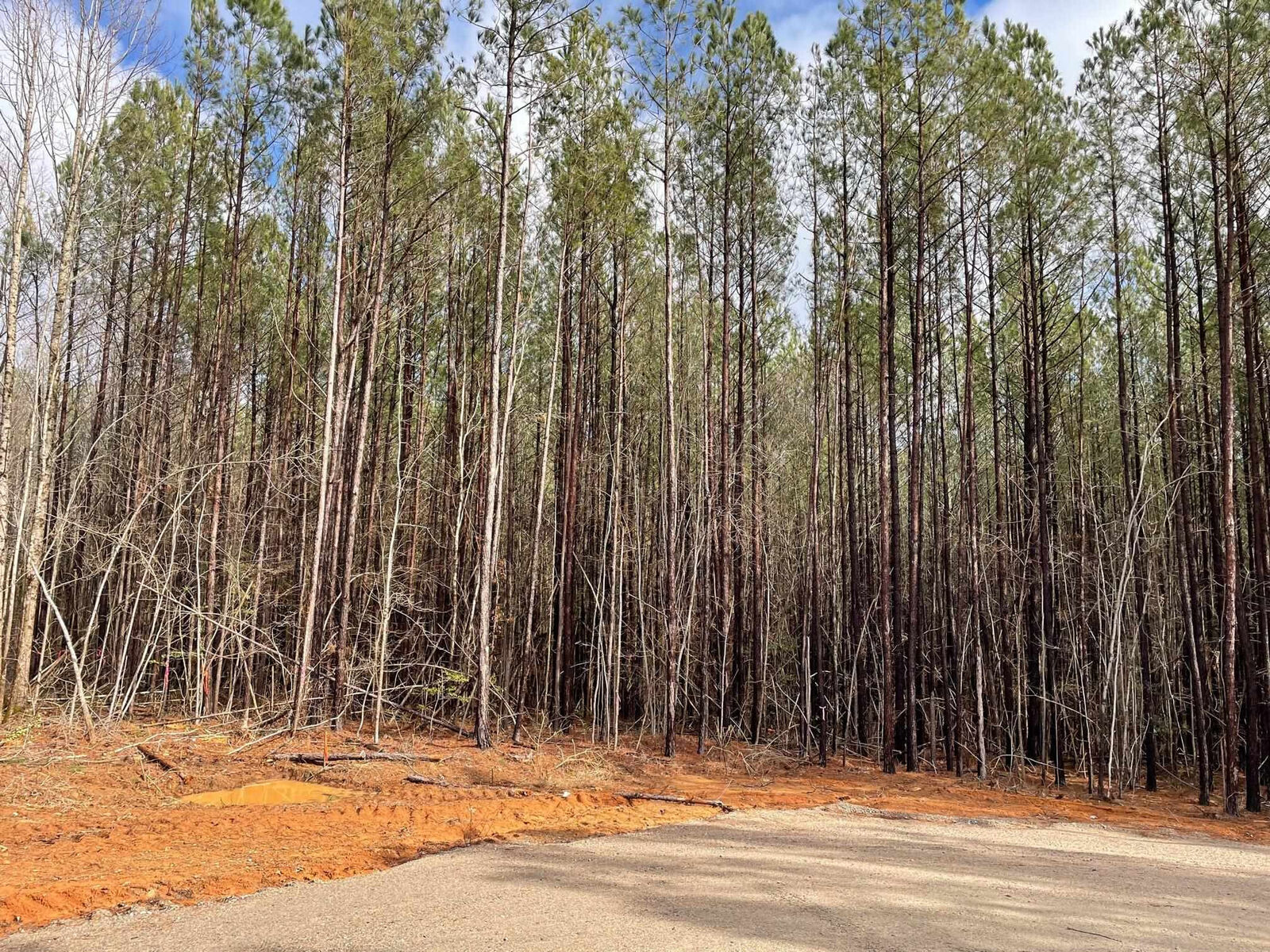 Property Photo: 000 Fish Stallings Road NC 27537