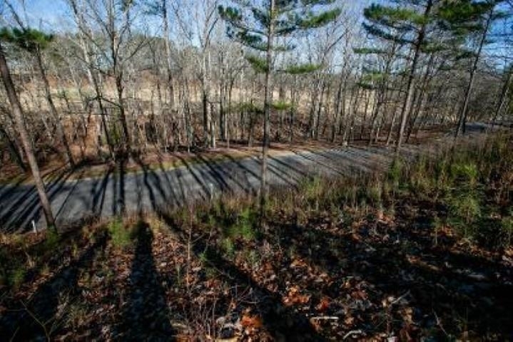 Property Photo:  Lot 76 Fairway Dr  AL 35057 - CULLMAN 