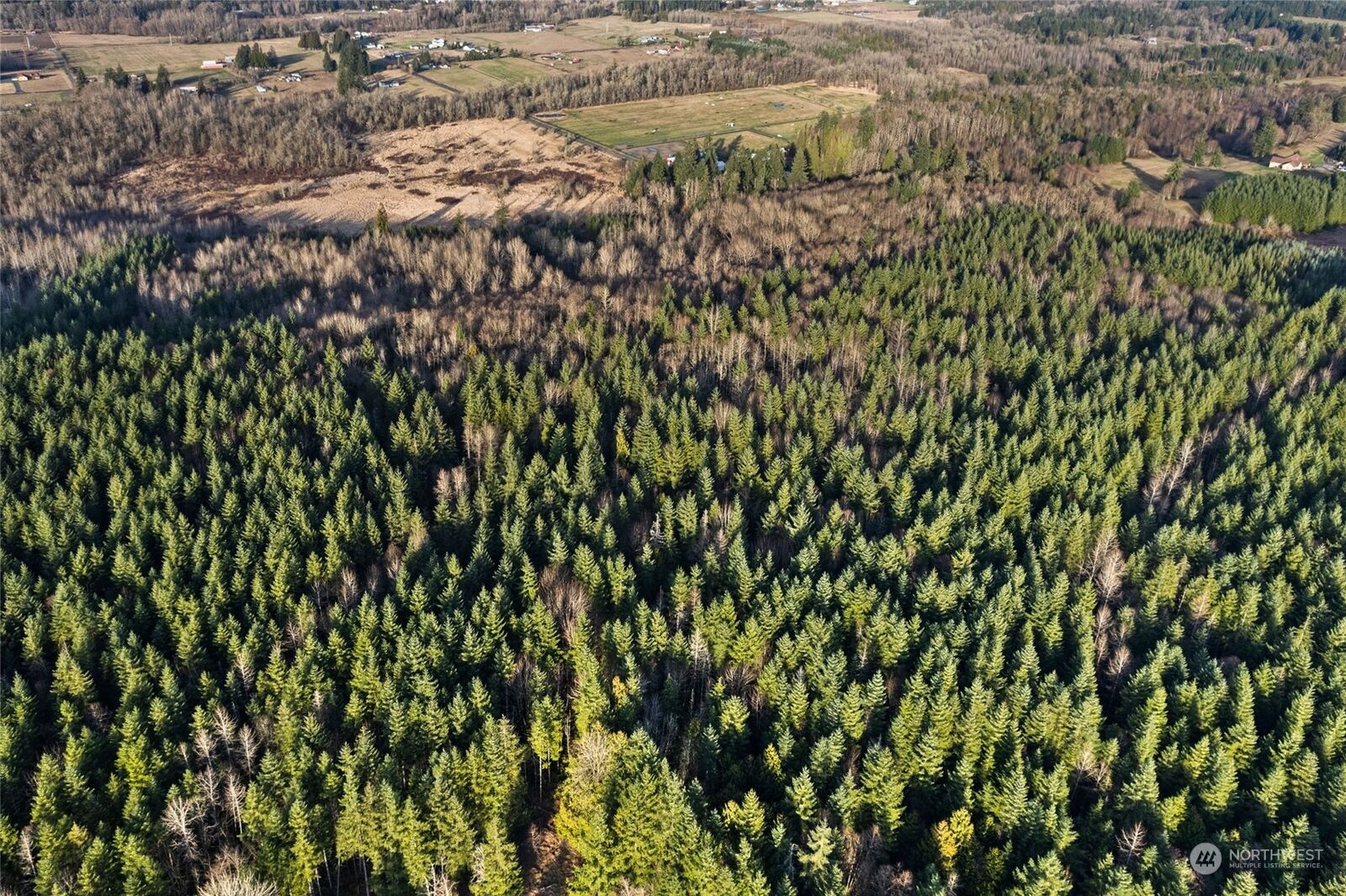 Property Photo:  207 Jensen Road  WA 98570 