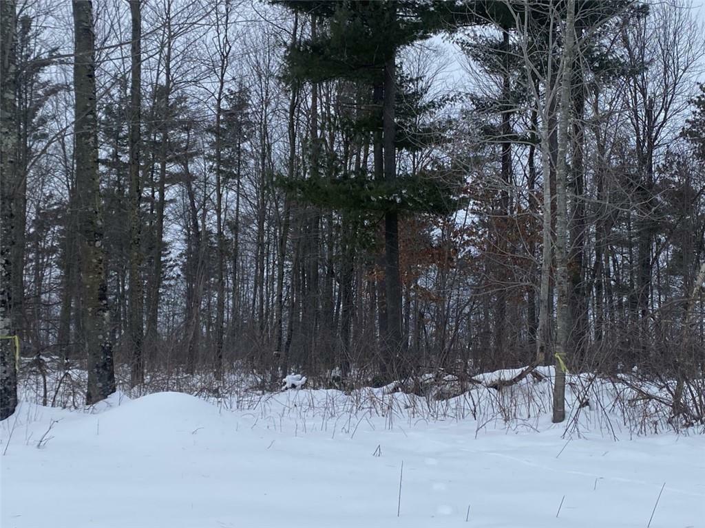 Property Photo:  Lot 3 77th Court  WI 54727 