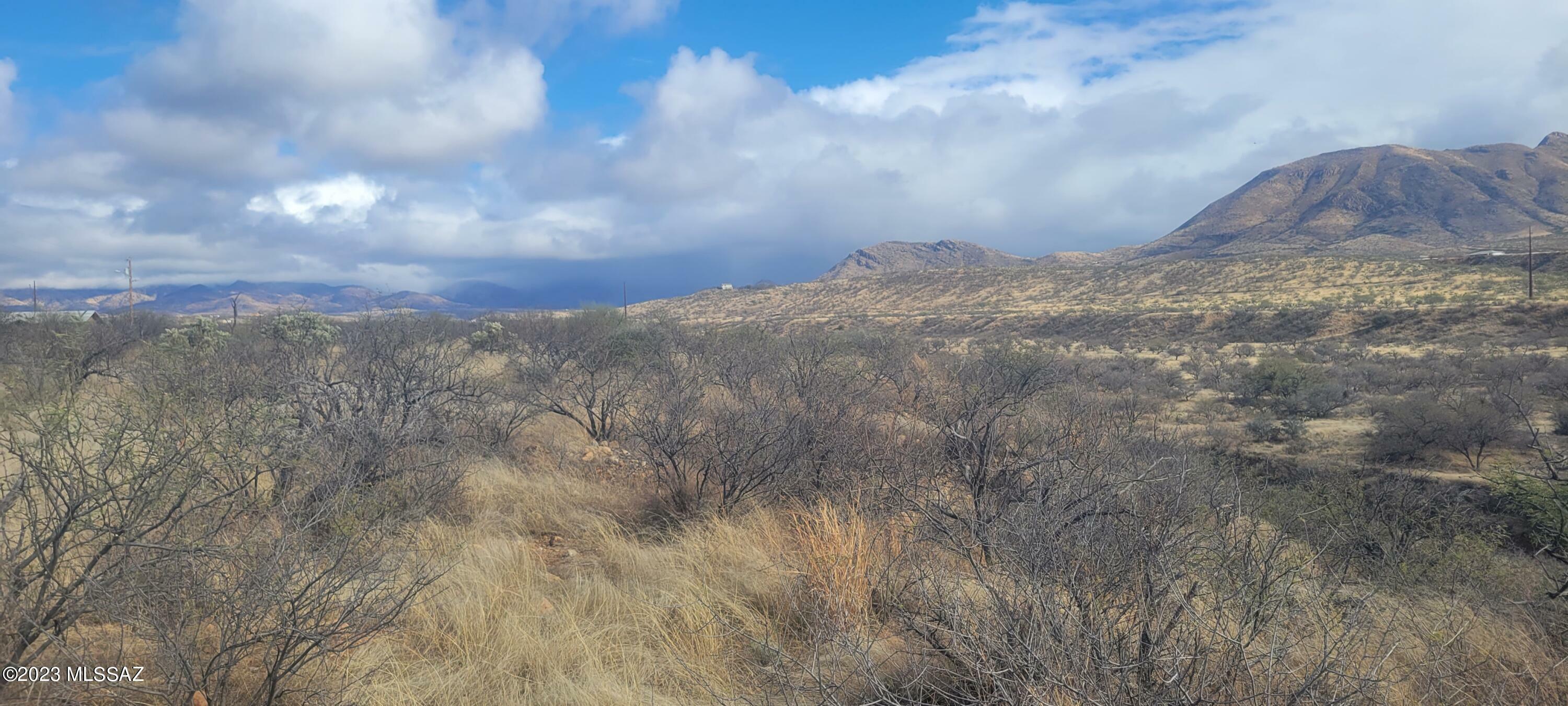 Property Photo: 203 Torre Court 81 AZ 85648