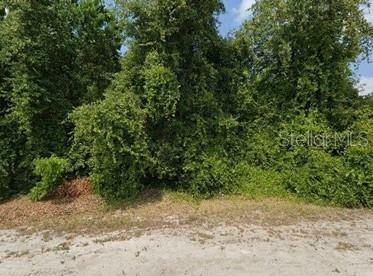 Property Photo:  1807 Clyburn Lane  FL 32738 