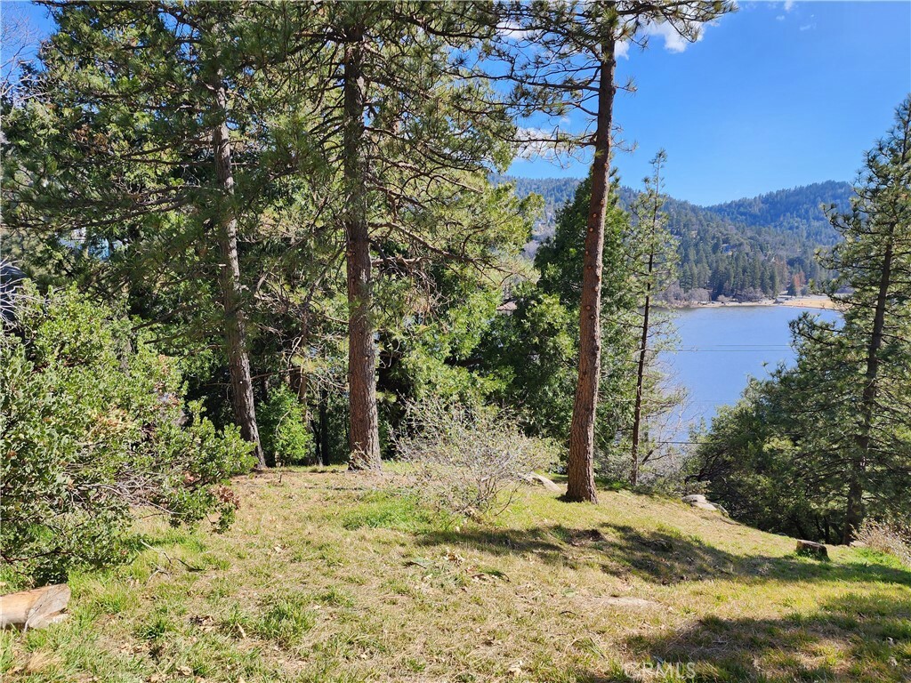Property Photo:  405 Wylerhorn Drive  CA 92325 