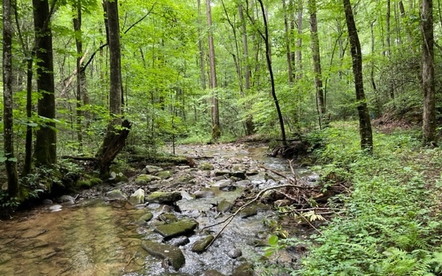 Property Photo:  Little Rock Creek Road  GA 30522 