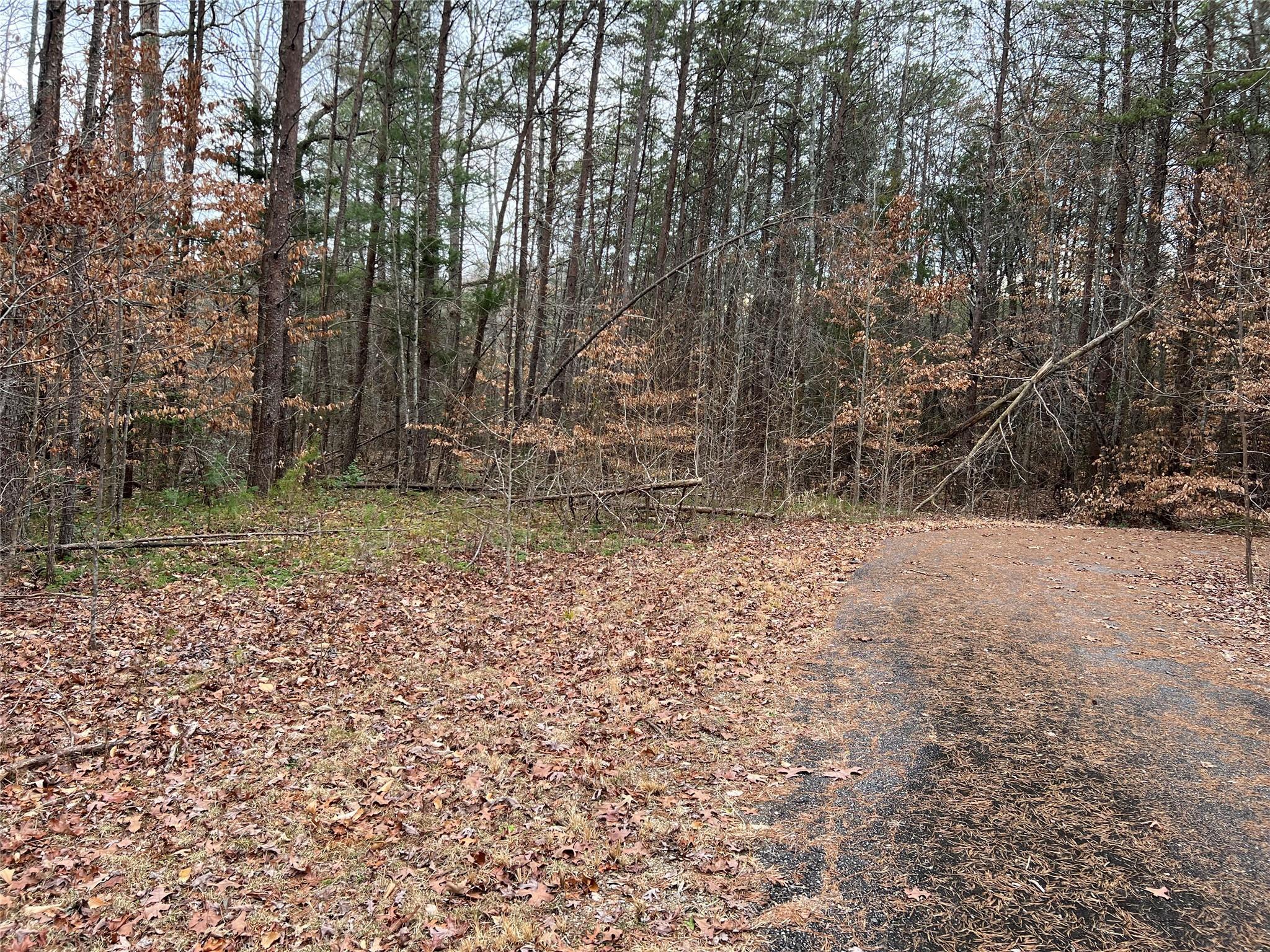 Property Photo:  5291 Vista Lane  NC 28655 