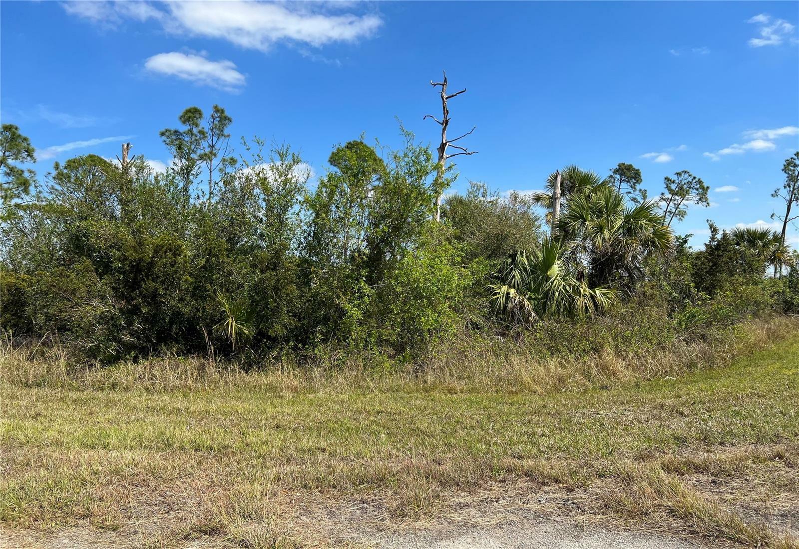 Property Photo:  Ewen Drive  FL 34288 