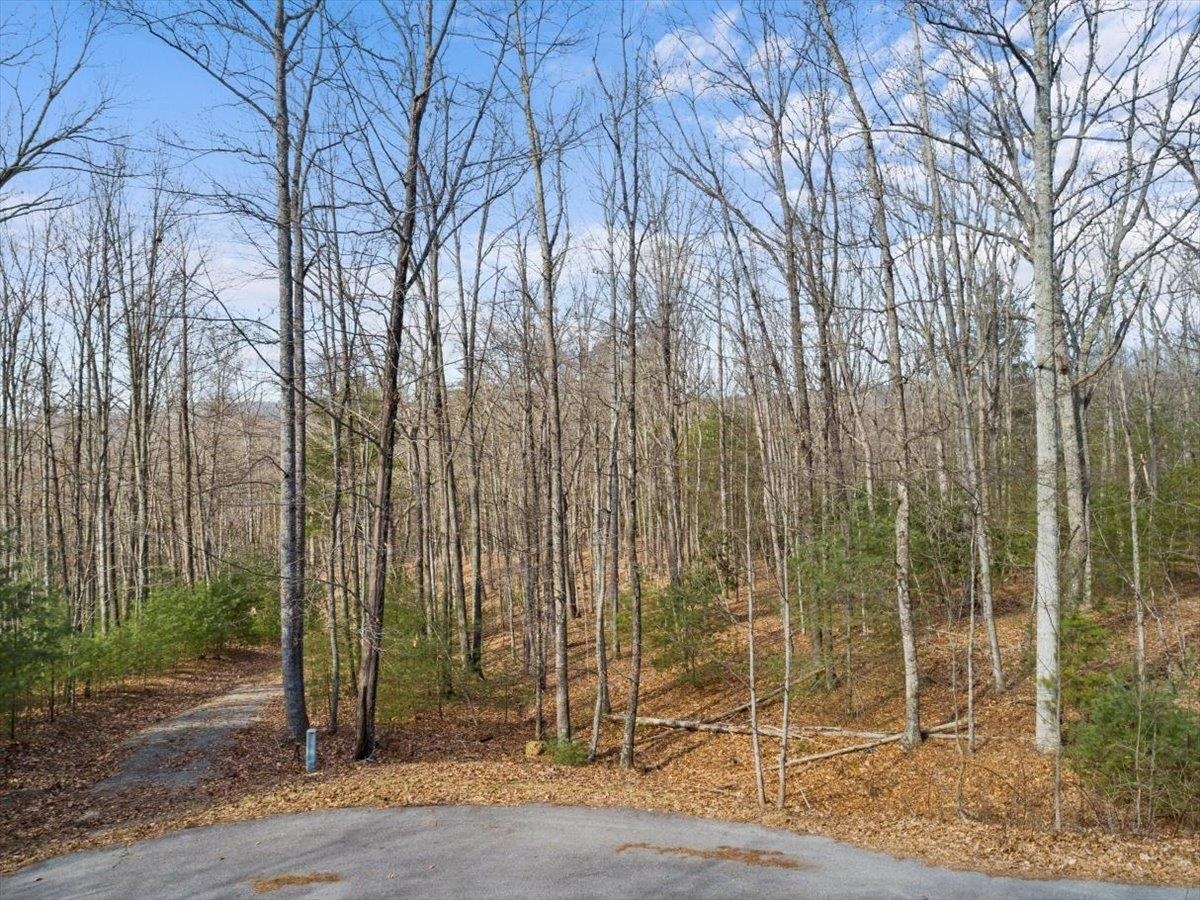 Property Photo:  1258 Treetop Ridge Road  VA 24060 