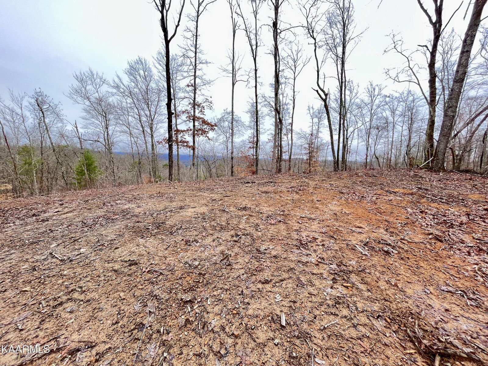 Property Photo: 225 Crystal Springs Rd TN 37854