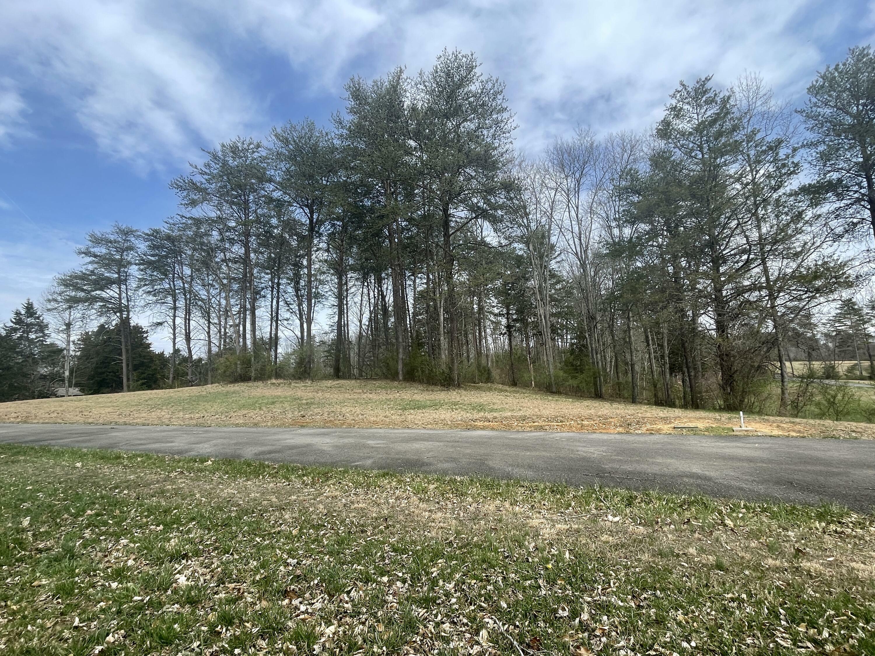 Property Photo:  Lot 53 Anchor Way  KY 42629 