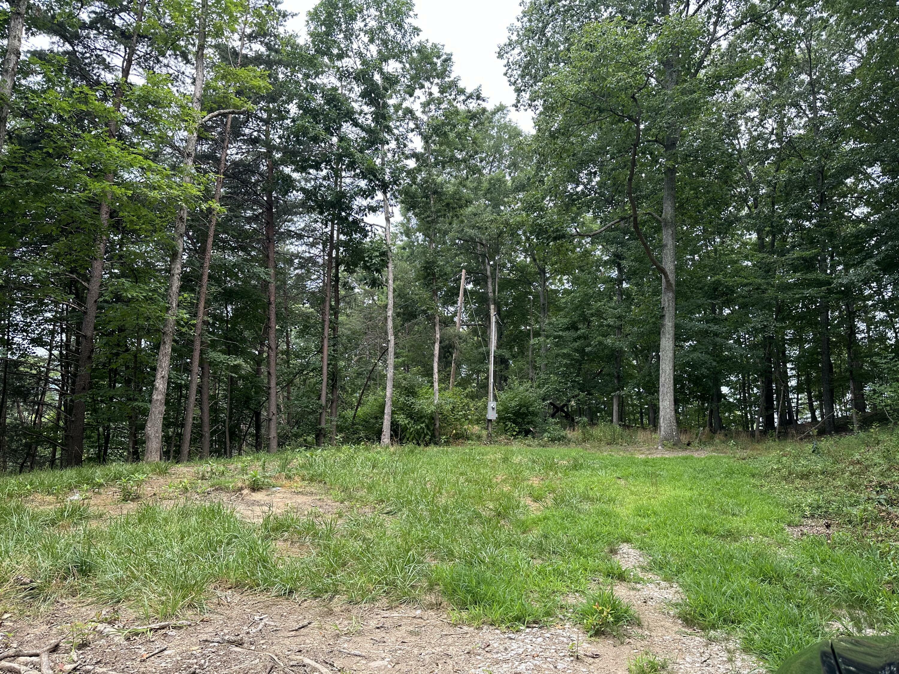 Property Photo:  Lot C Freeman Branch Road  KY 40729 