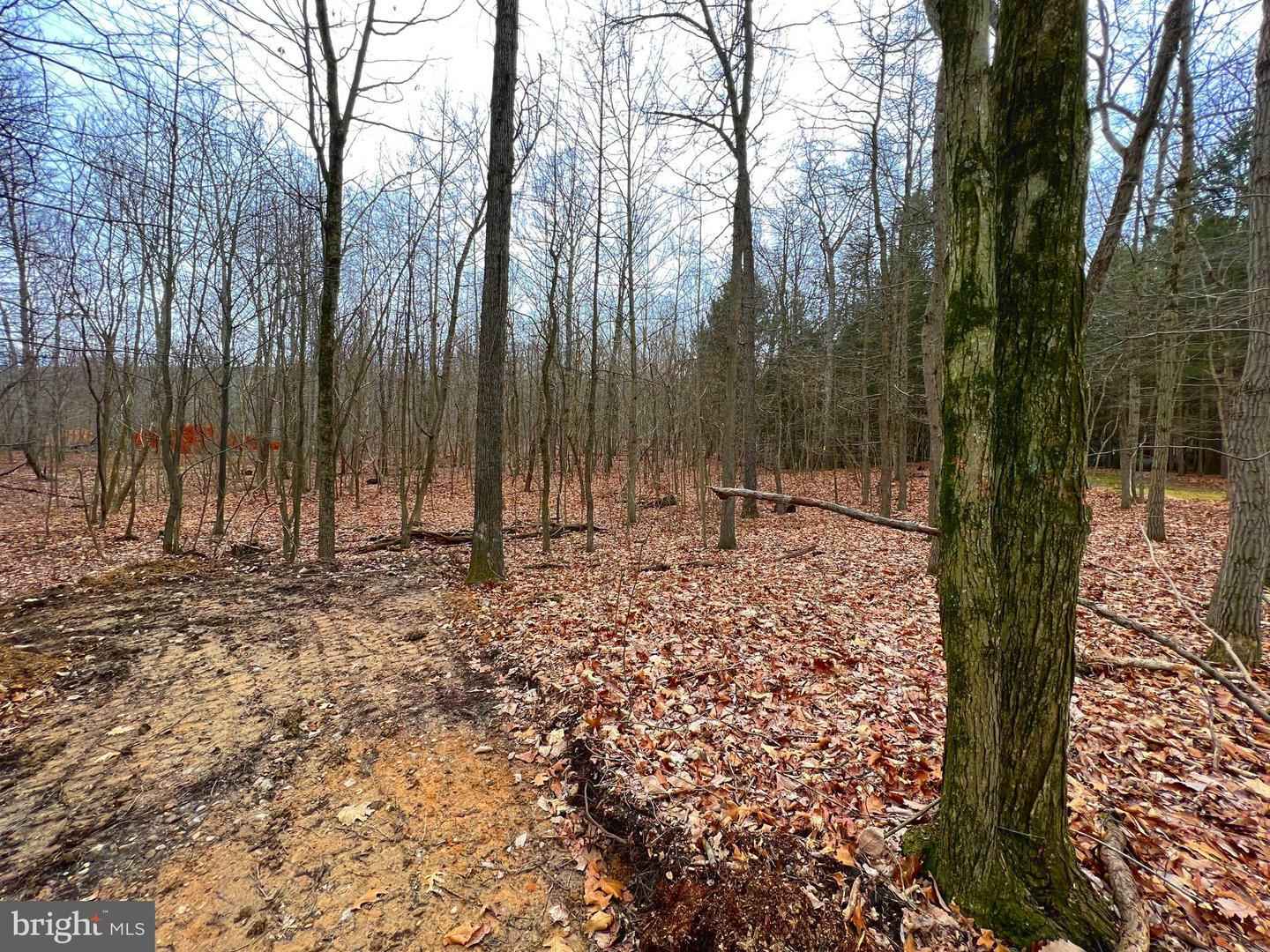 Property Photo:  Lot Indian Peg Road  PA 17007 