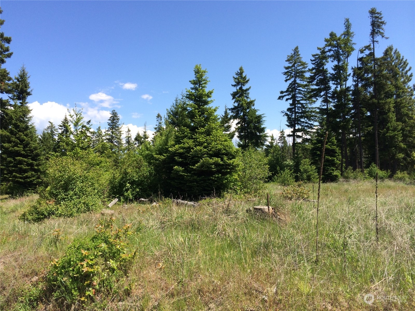 586 Rocky Mountain Way  Cle Elum WA 98922 photo
