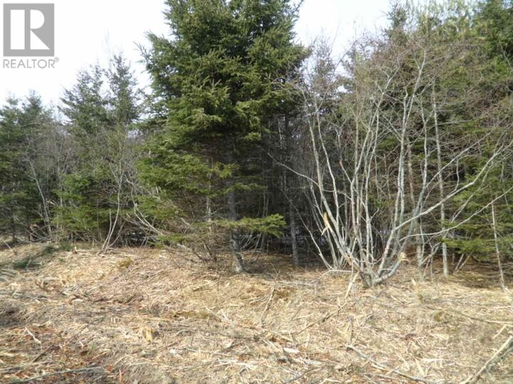 1V Highway 224 — photo 1