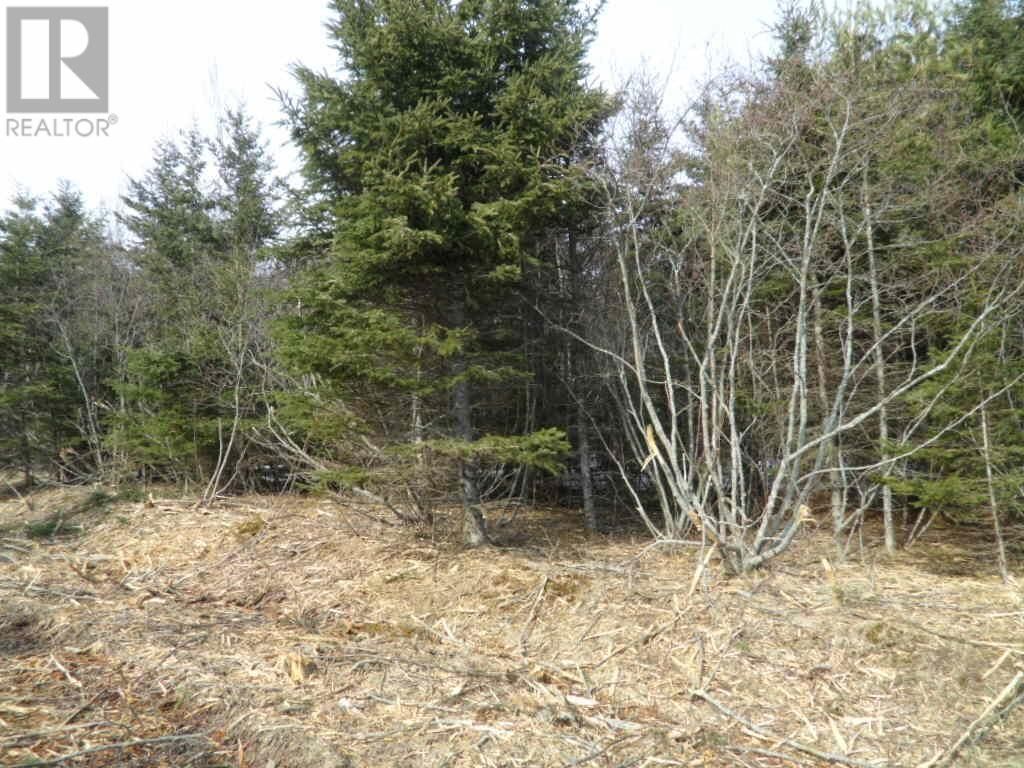 Property Photo:  1V Highway 224  NS B0N 1X0 