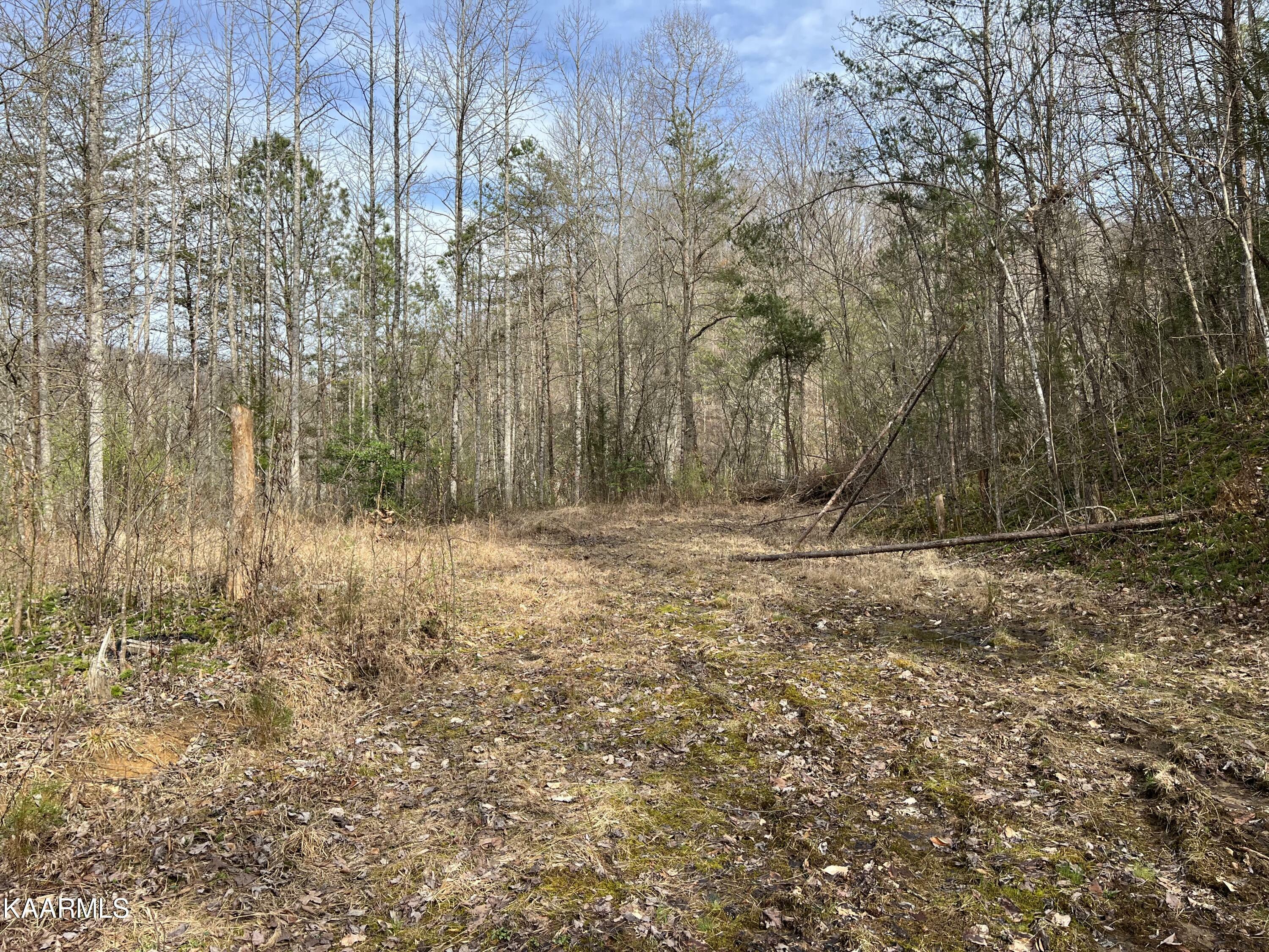 Property Photo:  Roses Creek Rd  TN 37715 