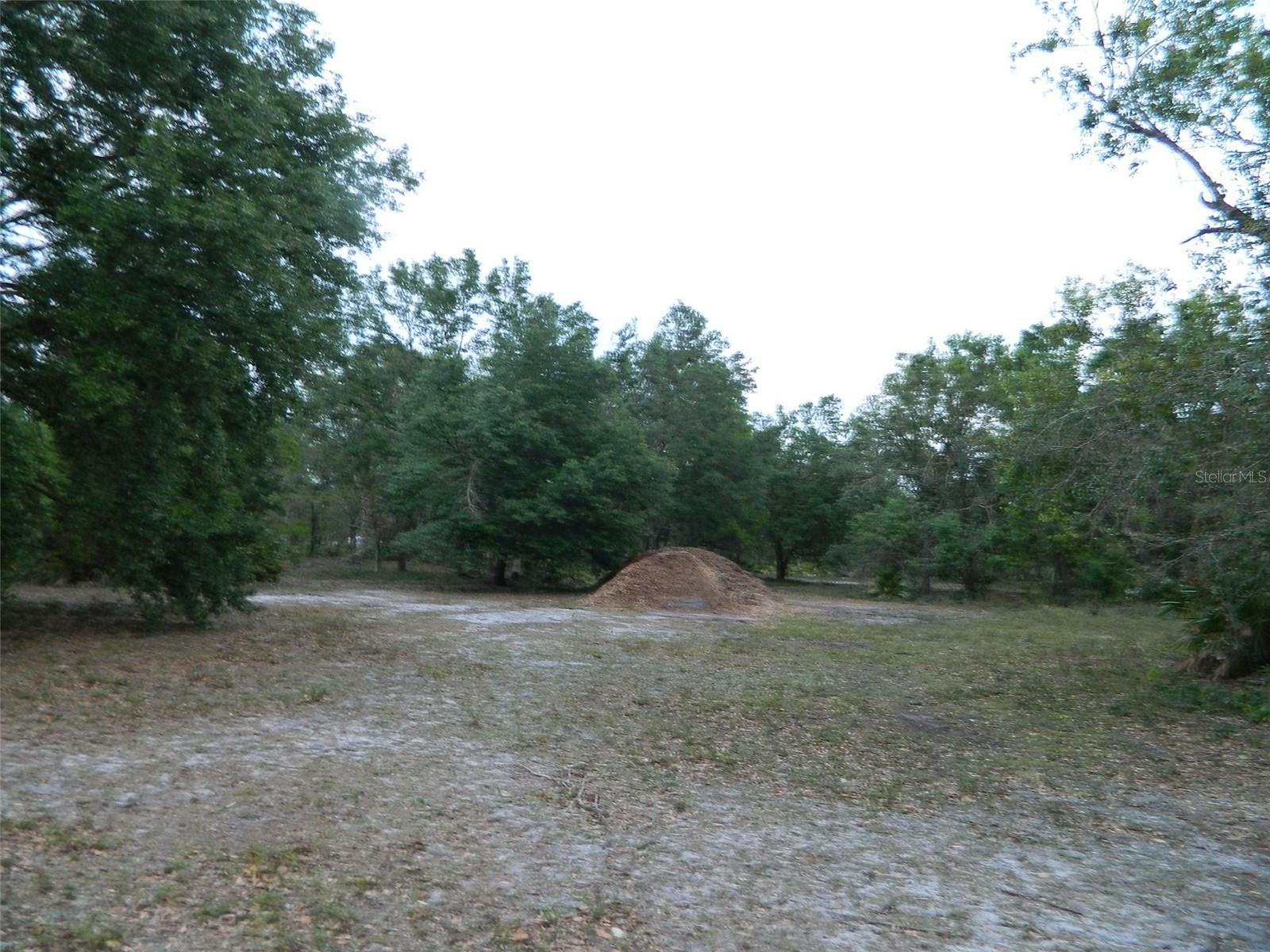 Property Photo:  1812 NW Myrtle Avenue  FL 34266 