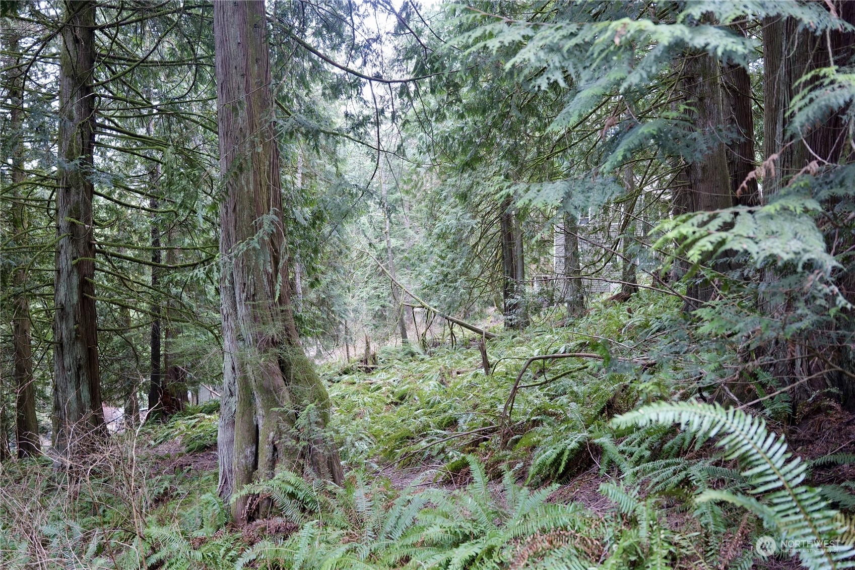 Property Photo: 19 Valley Crest Way WA 98229
