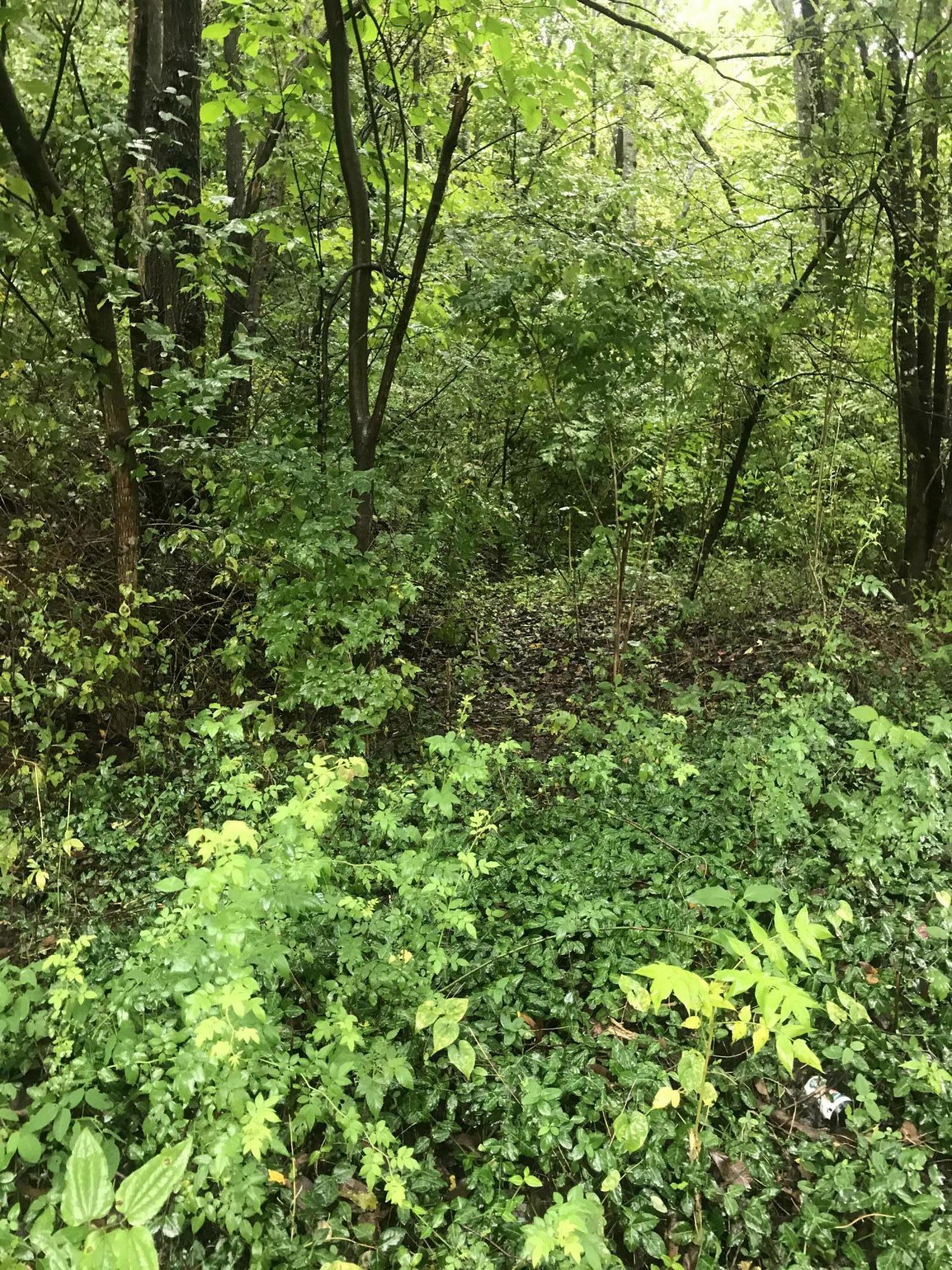 Property Photo:  Tbd Jenkins Hollow Road  TN 37643 