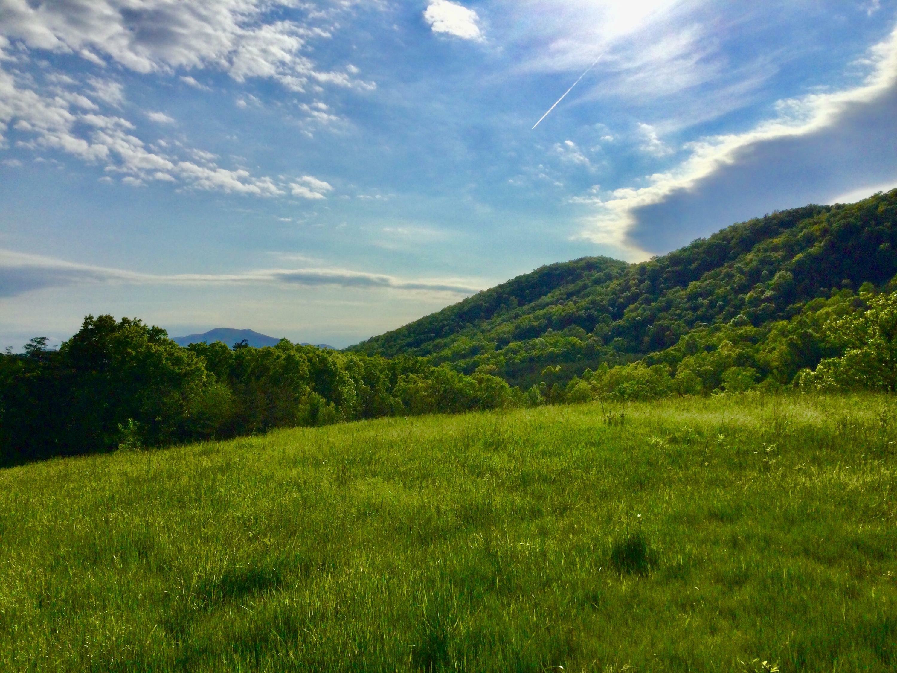 Property Photo:  2245 Kelley Gap Road  TN 37743 