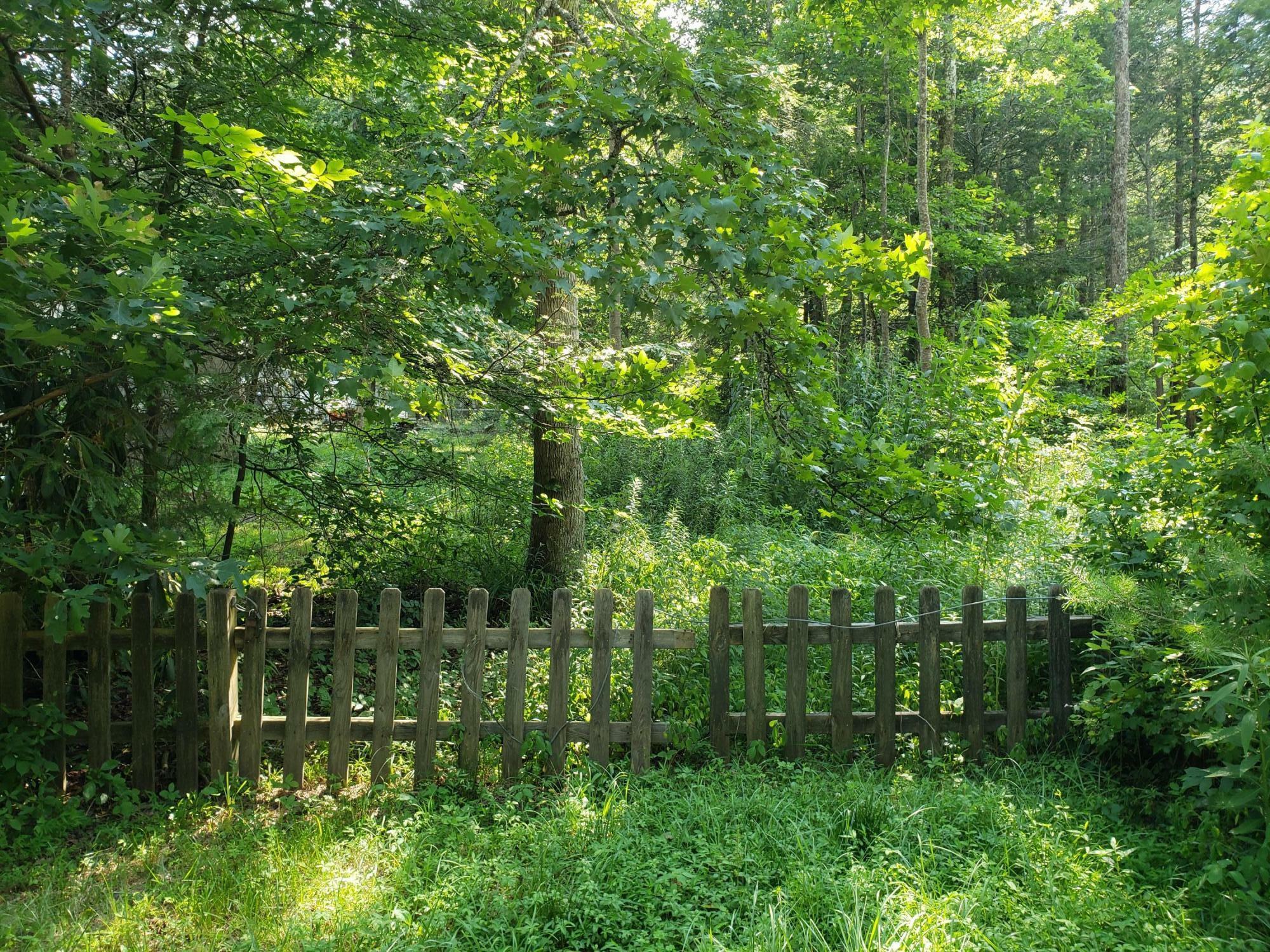 Property Photo:  908 Ryder Church Road  TN 37618 