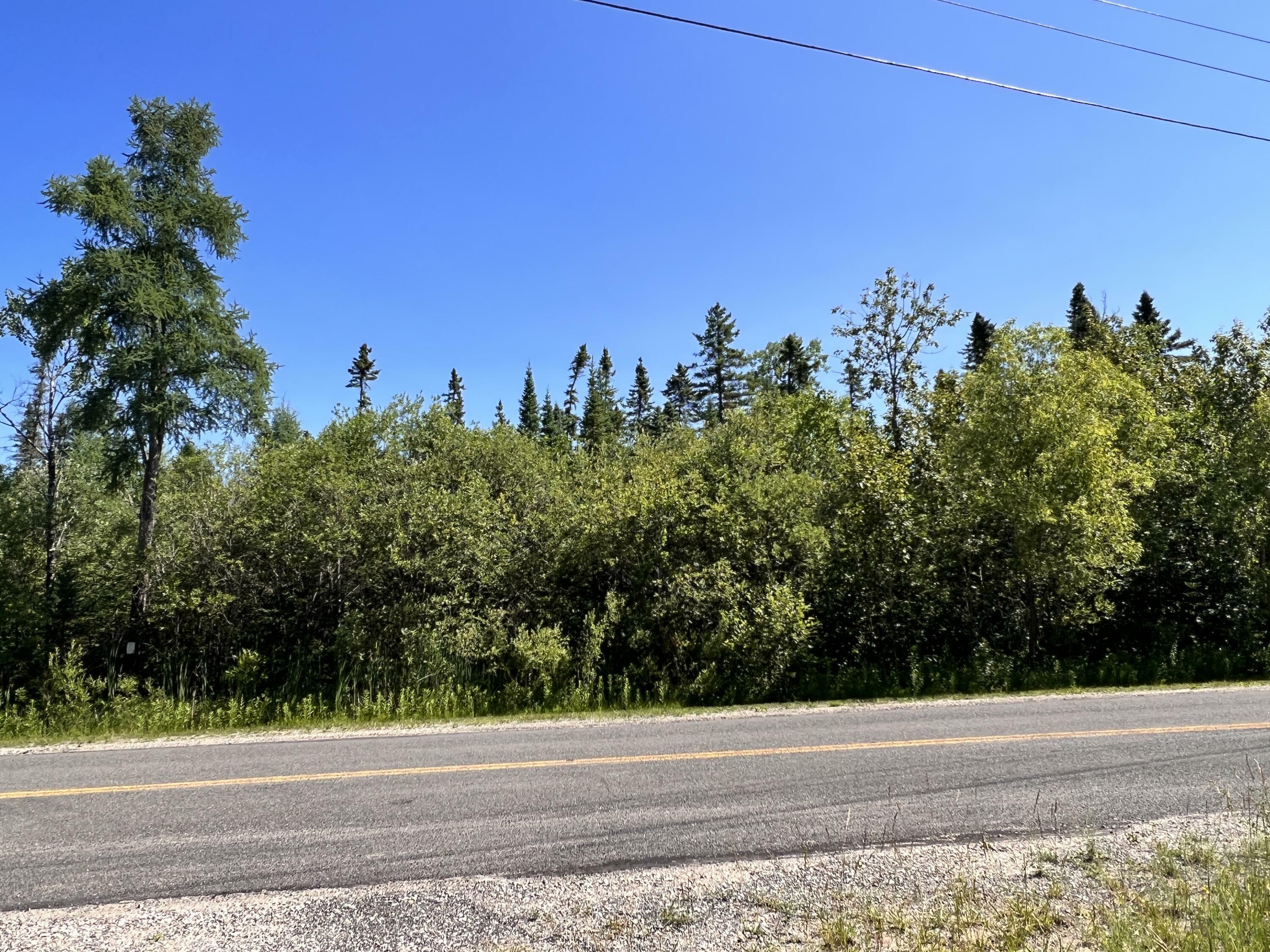 Property Photo: 15241 Lakeview Drive MI 49799