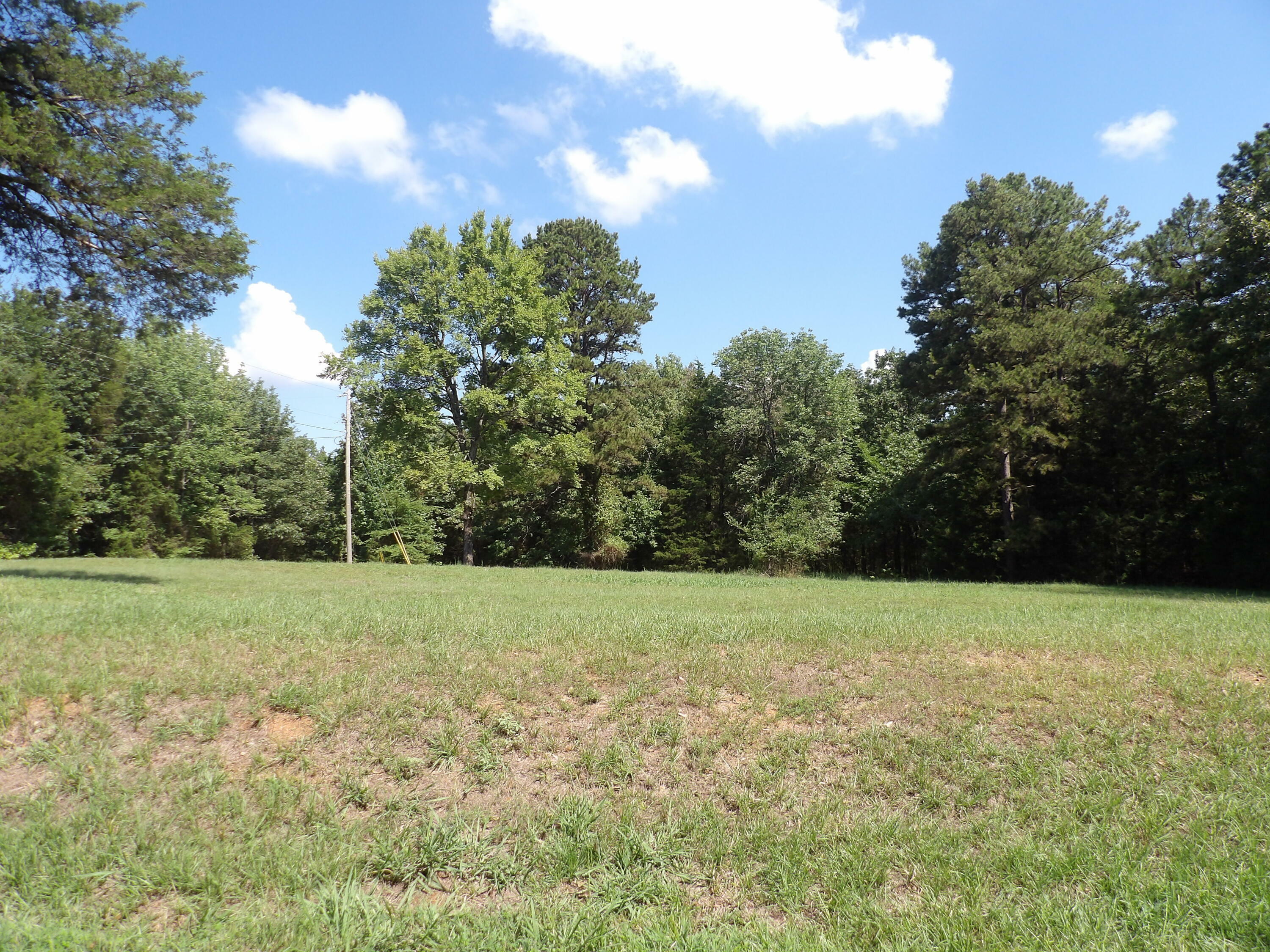 Property Photo:  Lot 39 Pittsburg Landing Estates  AR 72845 